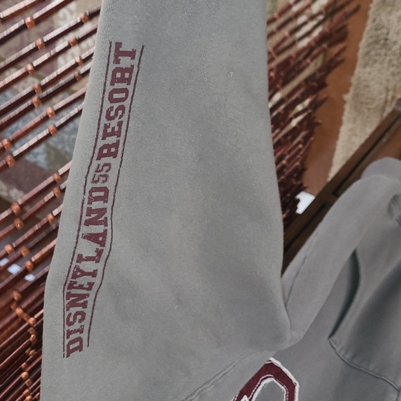 Disneyland Resort 1955 Zip front hooded sweatshirt.  Men's size M - Picture 3 of 7